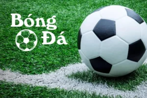 Quy Định Về Bóng Trong Cuộc Và Bóng Ngoài Cuộc Trong Thi Đấu