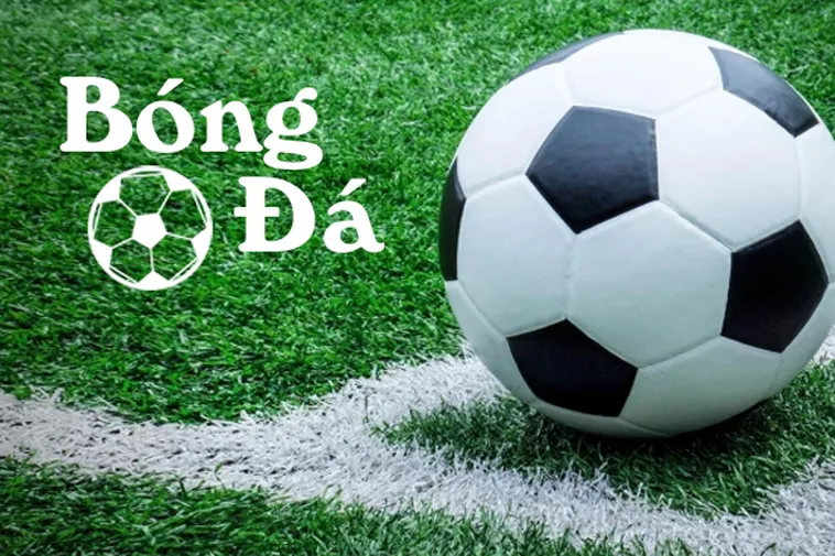 Quy Định Về Bóng Trong Cuộc Và Bóng Ngoài Cuộc Trong Thi Đấu