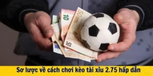 Giải Mã Kèo 2.75 Và Chiến Thuật Đầu Tư Cho Các Trận Cầu Nhiều Bàn Thắng