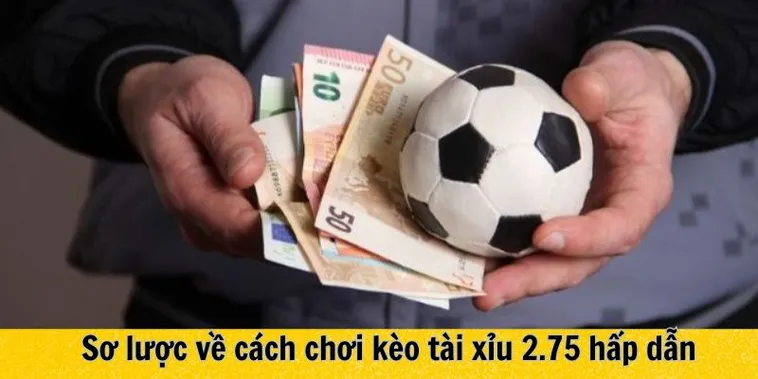 Giải Mã Kèo 2.75 Và Chiến Thuật Đầu Tư Cho Các Trận Cầu Nhiều Bàn Thắng 1 Giải Mã Kèo 2.75 Và Chiến Thuật Đầu Tư Cho Các Trận Cầu Nhiều Bàn Thắng