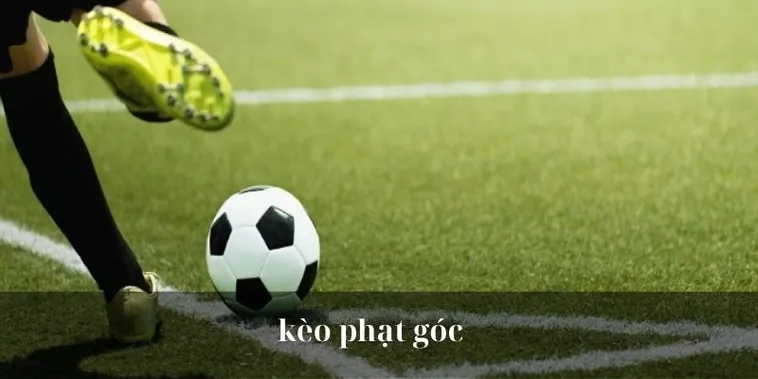 Chiến Thuật Phân Tích Kèo Phạt Góc Và Cách Đọc Vị Lối Chơi Cánh Hiệu Quả 1 Chiến Thuật Phân Tích Kèo Phạt Góc Và Cách Đọc Vị Lối Chơi Cánh Hiệu Quả