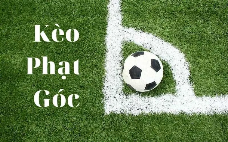Chiến Thuật Phân Tích Kèo Phạt Góc Và Cách Đọc Vị Lối Chơi Cánh Hiệu Quả 2 Chiến Thuật Phân Tích Kèo Phạt Góc Và Cách Đọc Vị Lối Chơi Cánh Hiệu Quả