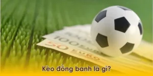 Phân Tích Kèo Đồng Banh Và Chiến Thuật Đầu Tư Hiệu Quả Nhất
