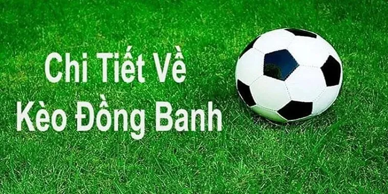 Phân Tích Kèo Đồng Banh Và Chiến Thuật Đầu Tư Hiệu Quả Nhất 2 Phân Tích Kèo Đồng Banh Và Chiến Thuật Đầu Tư Hiệu Quả Nhất