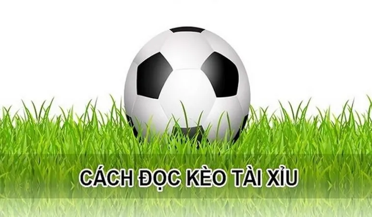 Phân Tích Kèo Tài Xỉu Hiệp 1 Và Chiến Thuật Nhập Cuộc Của Đội Bóng 2 Phân Tích Kèo Tài Xỉu Hiệp 1 Và Chiến Thuật Nhập Cuộc Của Đội Bóng