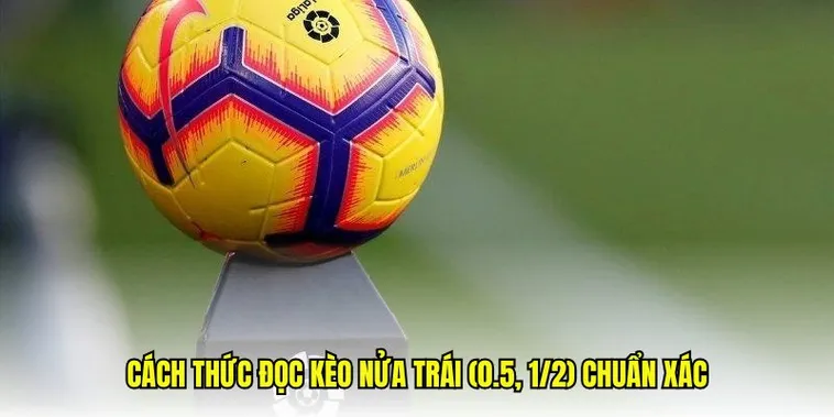 Phân Tích Kèo Chấp 0.5 Và Bí Quyết Đầu Tư Thành Công Trong Bóng Đá 1 Phân Tích Kèo Chấp 0.5 Và Bí Quyết Đầu Tư Thành Công Trong Bóng Đá