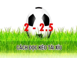 Phân Tích Kèo 2.25 Và Chiến Thuật Đầu Tư Tài Xỉu Hiệu Quả Nhất