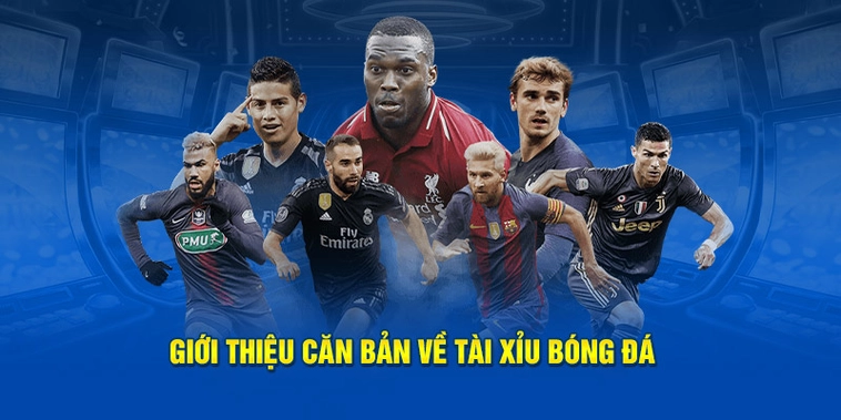 Nghệ Thuật Đọc Vị Kèo Tài Xỉu Bóng Đá Và Cách Phân Tích Tổng Bàn Thắng 1 Nghệ Thuật Đọc Vị Kèo Tài Xỉu Bóng Đá Và Cách Phân Tích Tổng Bàn Thắng